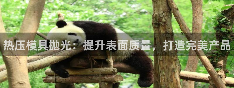易倍单词如何下载