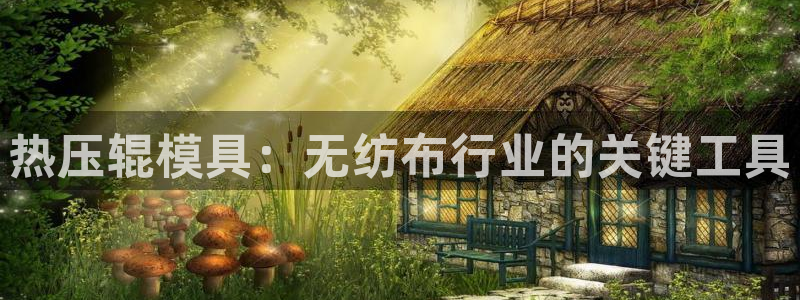 上海易倍投资有限公司