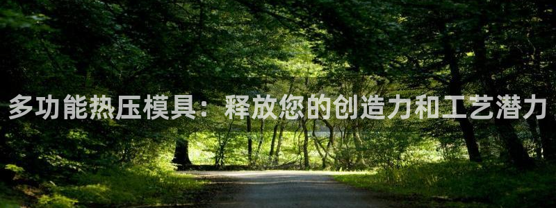 易倍纤代餐奶昔怎么样：多功能热压模具：释放您的创造力和工