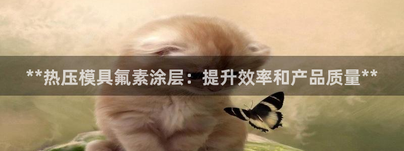 易倍网络技术有限公司怎么样