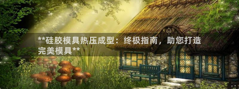 易倍企业管理软件怎么样：**硅胶模具热压成型：终极指南，
