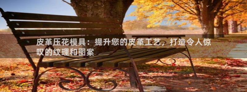 emc易倍官网：皮革压花模具：提升您的皮革工艺，打造令人