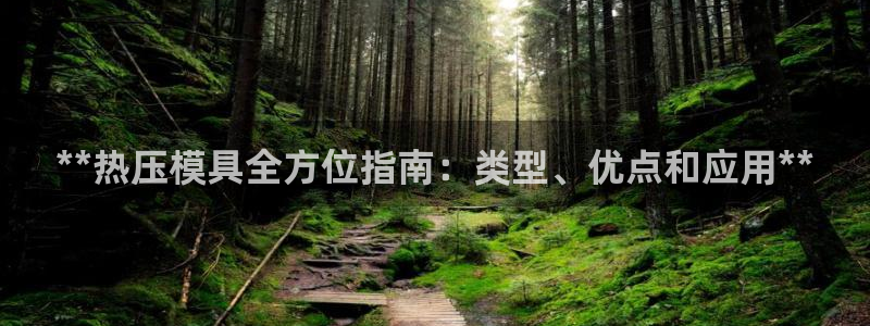 emc软件下载：**热压模具全方位指南：类型、优点和应用