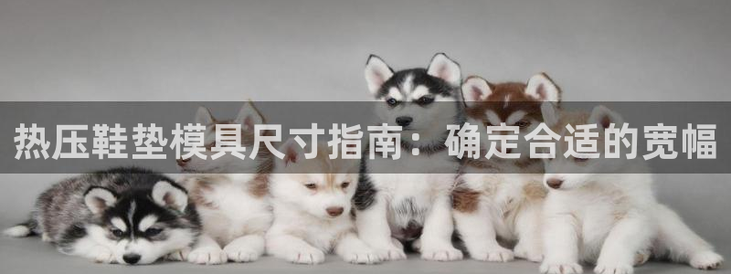易倍申和易倍清的区别：热压鞋垫模具尺寸指南：确定合适的宽