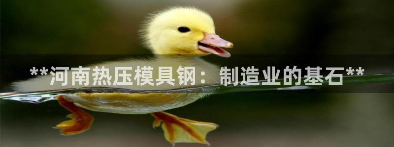 EMC易倍官方网址：**河南热压模具钢：制造业的基石**