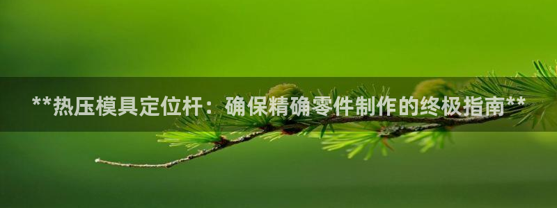 易倍纤能减肥吗：**热压模具定位杆：确保精确零件制作的终