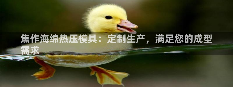 易倍下载地址：焦作海绵热压模具：定制生产，满足您的成型
