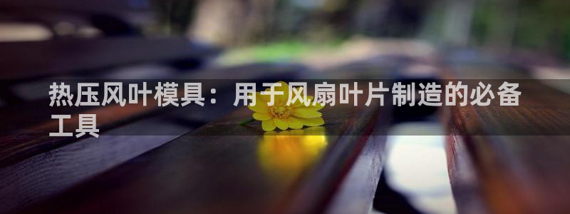 易倍纤多少钱：热压风叶模具：用于风扇叶片制造的必备
工具