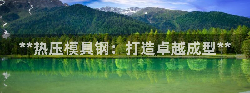 易倍app网站：**热压模具钢：打造卓越成型**