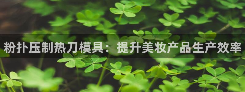 emc易倍电竞：粉扑压制热刀模具：提升美妆产品生产效率