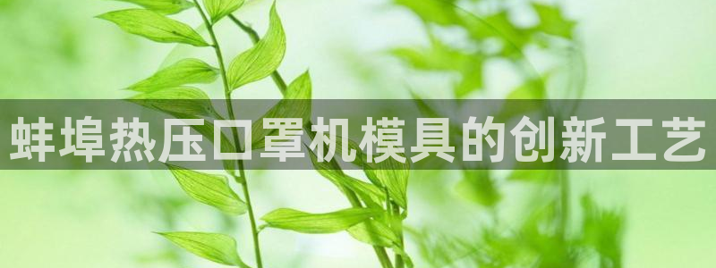 杭州易倍达：蚌埠热压口罩机模具的创新工艺