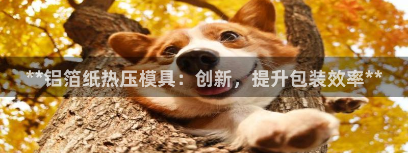 易倍单词官方网站登录：**铝箔纸热压模具：创新，提升包装