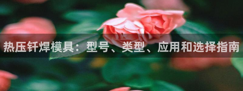 Emc易赔体育：热压钎焊模具：型号、类型、应用和选择指南