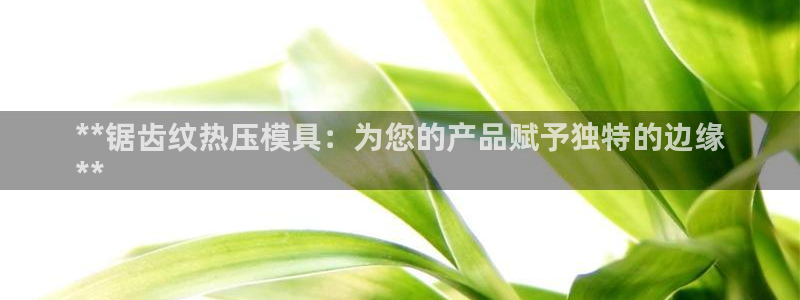 易倍单词官网下载：**锯齿纹热压模具：为您的产品赋予独特