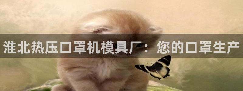 EMC易倍官方网址：淮北热压口罩机模具厂：您的口罩生产