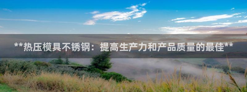 易倍纤减肥价格：**热压模具不锈钢：提高生产力和产品质量