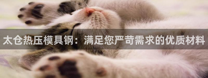 emc易倍ios官网：太仓热压模具钢：满足您严苛需求的优