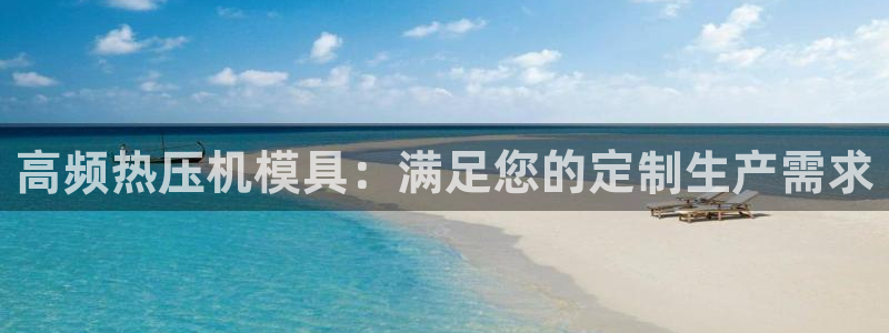 emc服务器是什么：高频热压机模具：满足您的定制生产需求