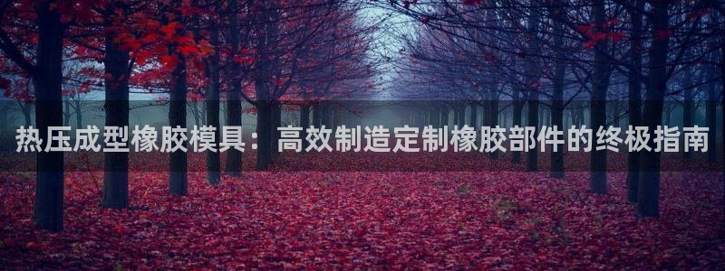 南京易倍易电子科技有限公司：热压成型橡胶模具：高效制造定