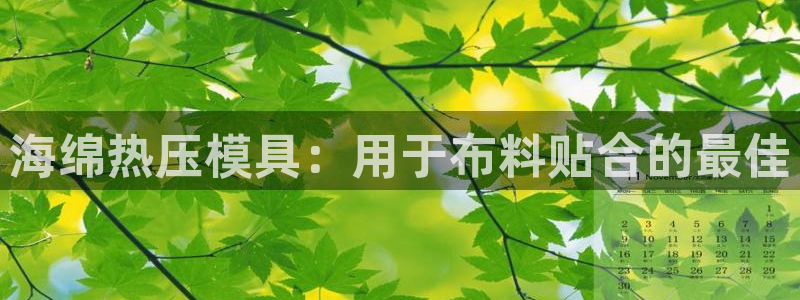 易倍企业管理软件：海绵热压模具：用于布料贴合的最佳