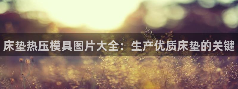 低频的emc用什么滤波：床垫热压模具图片大全：生产优质床