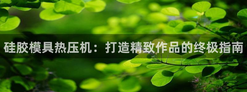 emc低频不过：硅胶模具热压机：打造精致作品的终极指南