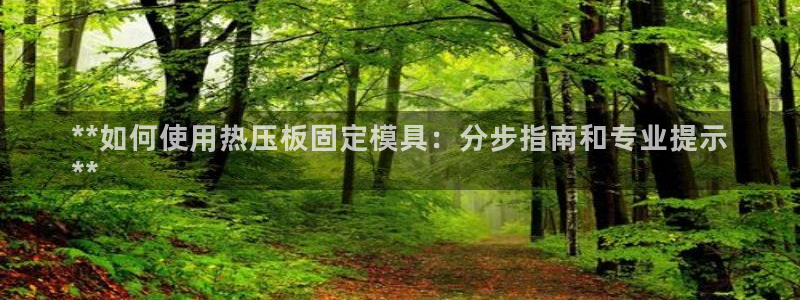 易倍申竞品：**如何使用热压板固定模具：分步指南和专业提