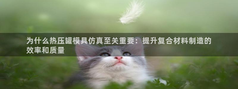 emc易倍官方下载：为什么热压罐模具仿真至关重要：提升复