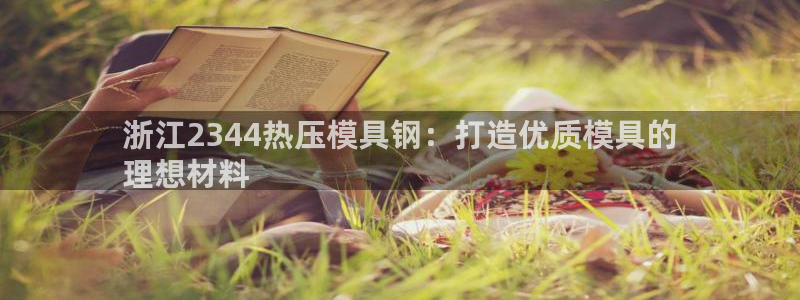 易倍单词app：浙江2344热压模具钢：打造优质模具的
