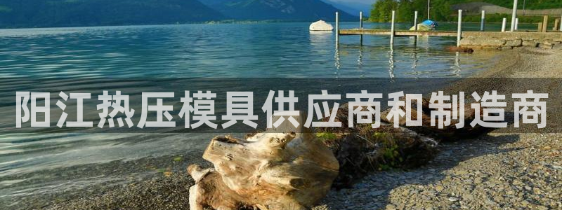 易倍EMC网址：阳江热压模具供应商和制造商