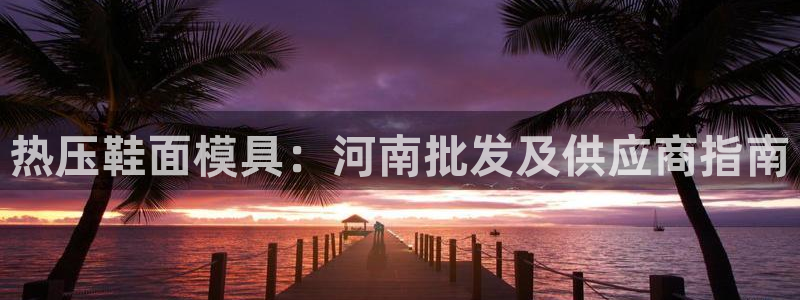 北京易倍思教育怎么样：热压鞋面模具：河南批发及供应商指南