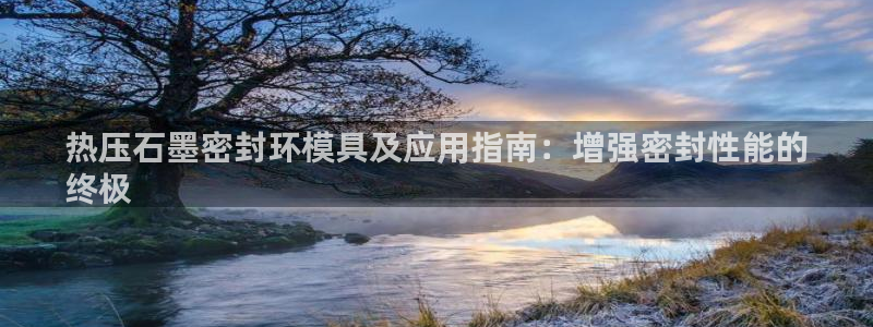 emc易倍电竞：热压石墨密封环模具及应用指南：增强密封性