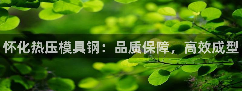 易倍申安理申区别：怀化热压模具钢：品质保障，高效成型