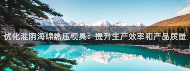 易倍申和易倍清的区别：优化淮阴海绵热压模具：提升生产效率