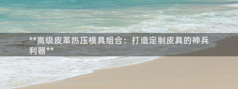 易倍EMC网址：**高级皮革热压模具组合：打造定制皮具的