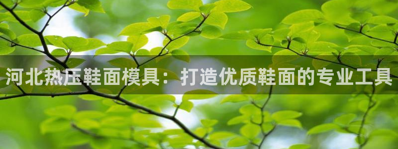 Emc易赔体育：河北热压鞋面模具：打造优质鞋面的专业工具