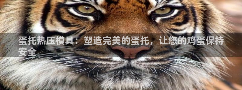 emc易倍出空款：蛋托热压模具：塑造完美的蛋托，让您的鸡
