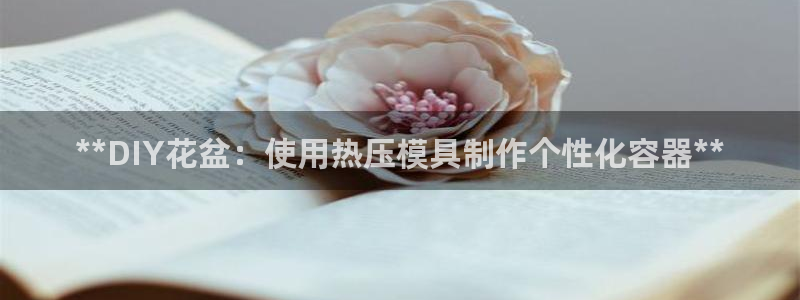 易倍申生产厂家：**DIY花盆：使用热压模具制作个性化容