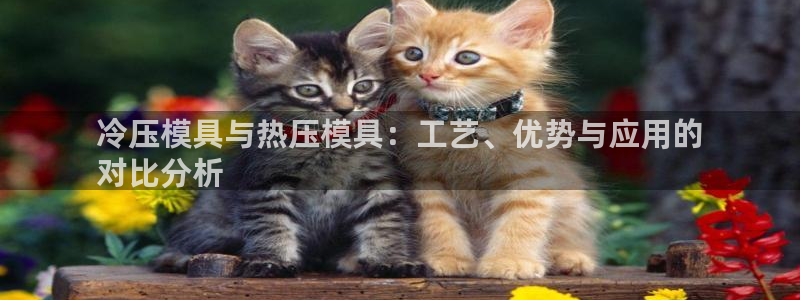 易倍纤瘦身三部曲的价格：冷压模具与热压模具：工艺、优势与