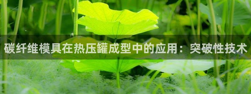易倍申医保报销：碳纤维模具在热压罐成型中的应用：突破性技