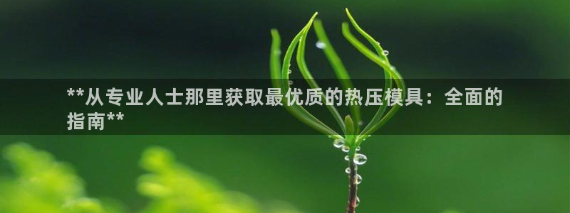 易倍单词登录平台：**从专业人士那里获取最优质的热压模具