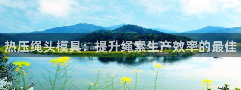 易倍申片说明书：热压绳头模具：提升绳索生产效率的最佳