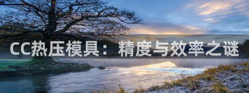 易倍申能长期吃吗：CC热压模具：精度与效率之谜