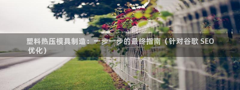 易倍申片说明书：塑料热压模具制造：一步一步的最终指南（针