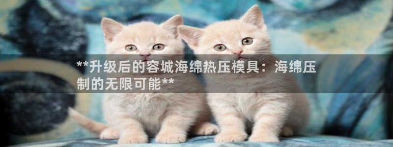 易倍单词登录网站：**升级后的容城海绵热压模具：海绵压
