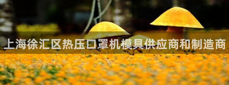 emc测试频率范围：上海徐汇区热压口罩机模具供应商和制造