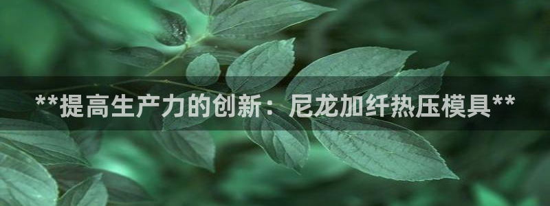 Emc易赔体育：**提高生产力的创新：尼龙加纤热压模具*