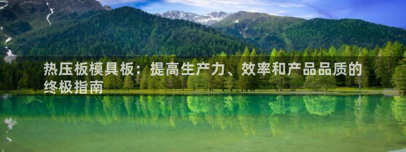 易倍思机电制造(上海)有限公司：热压板模具板：提高生产力