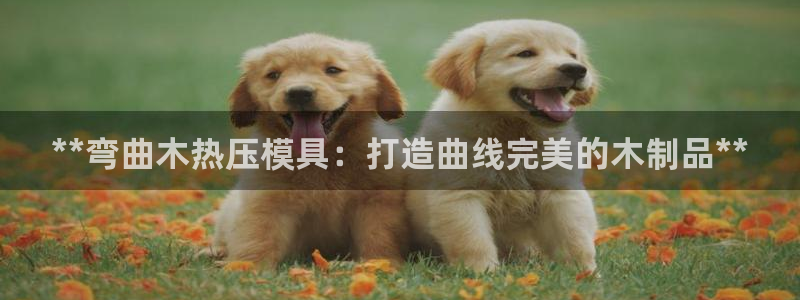 易倍达科技有限公司官网：**弯曲木热压模具：打造曲线完美