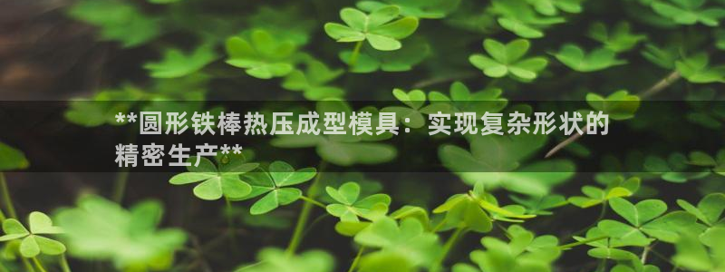 emc易倍官网app：**圆形铁棒热压成型模具：实现复杂